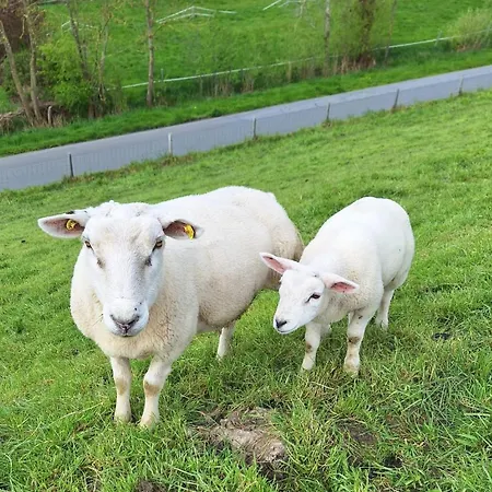 דירה Alter Muehlenhof נורדנהאם