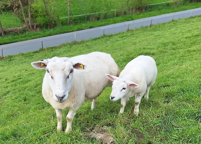 Апартаменты Alter Muehlenhof Норденхам